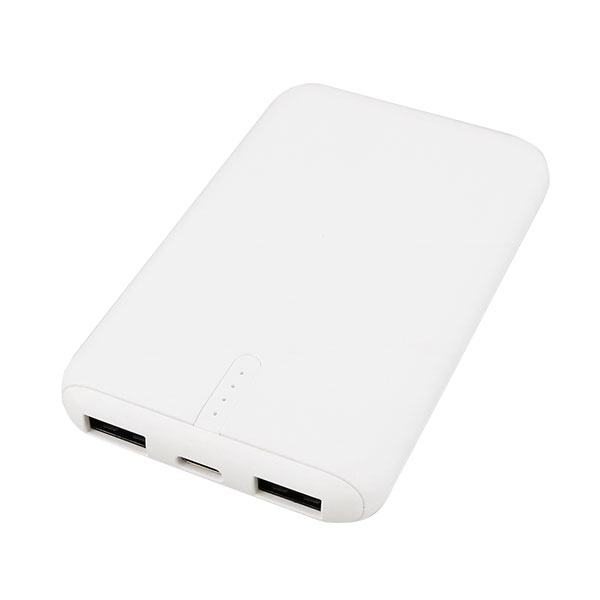 【廃棄時引取サービス付】2台同時充電対応 保護機能内蔵モバイルバッテリー 5000mAh