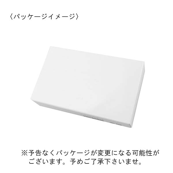 コードレスイヤホンⅡ