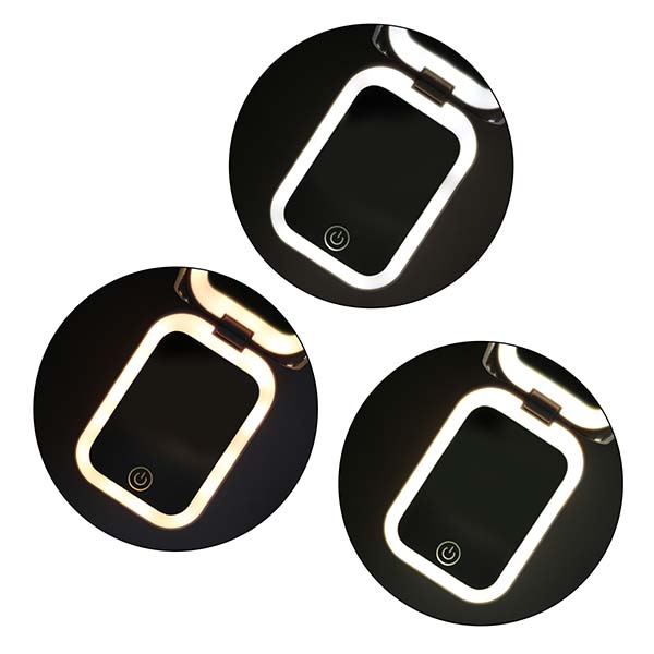 ライト付Wミラー