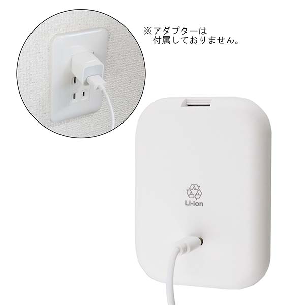 ライト付Wミラー