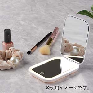 ライト付Wミラー