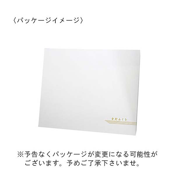 丹後ちりめん金封セット （レンガ・紫）