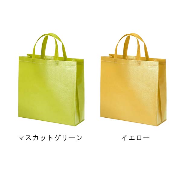 不織布ラミバッグ Sサイズ 角底