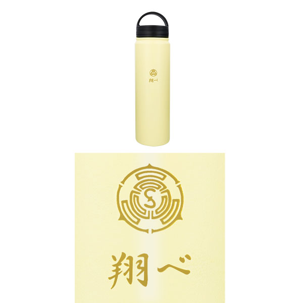 真空二重構造 ハンドル付きステンレスマグボトル 700ml